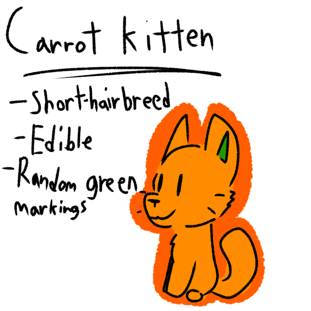 carrot kitten spieces