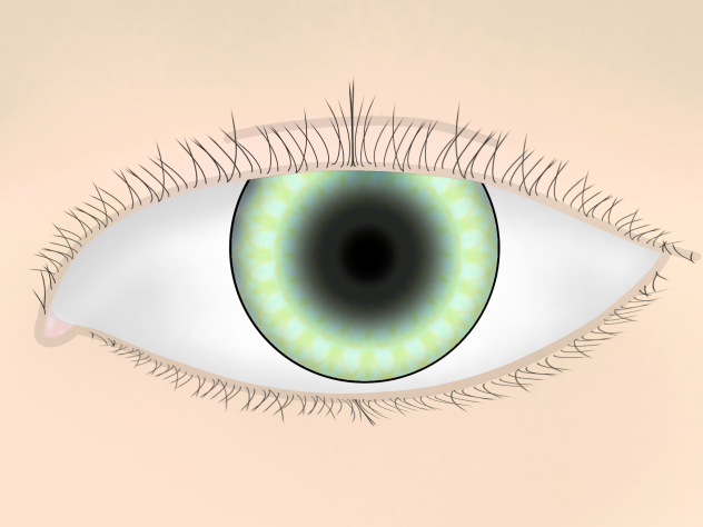 Eye