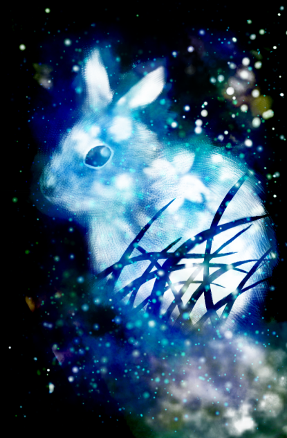 兎様