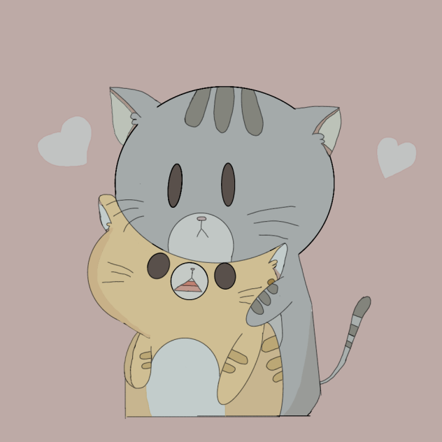 lovely cat❤️❤️