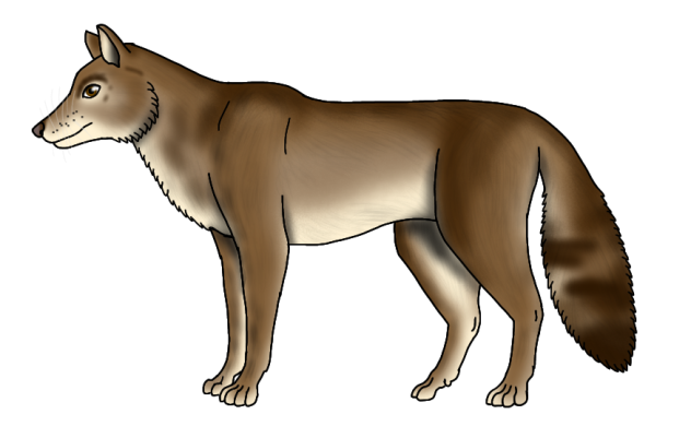 Dire Wolf (North America)2