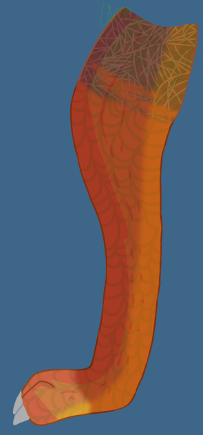 Explosion's Leg