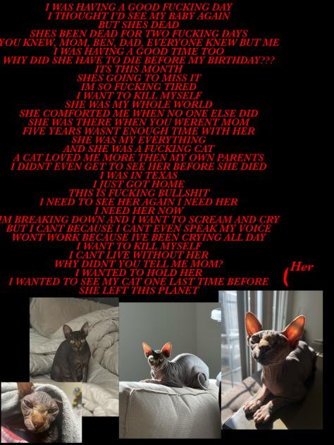 YOU FUCKING KNEW FOR TWO DAYS