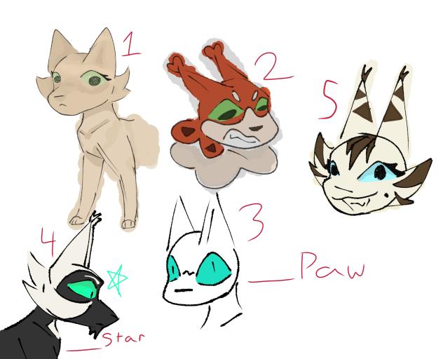 Warrior cats names