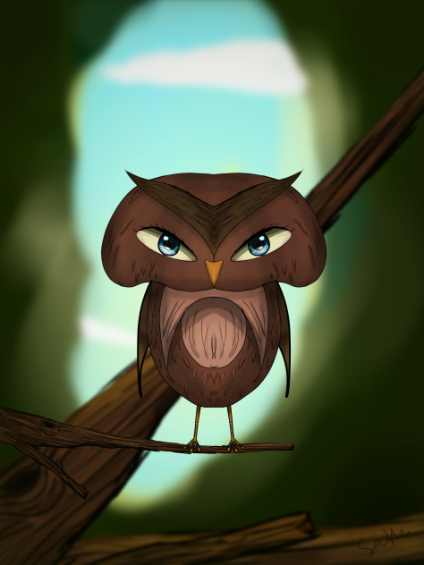 The owl in a forest