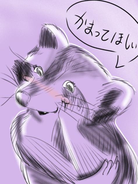 かまってほしい