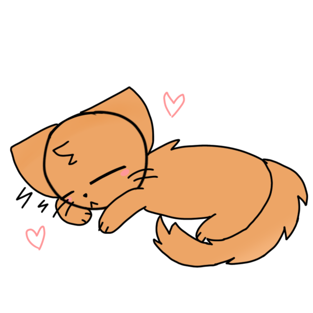 sleeping kitty! 💤💕