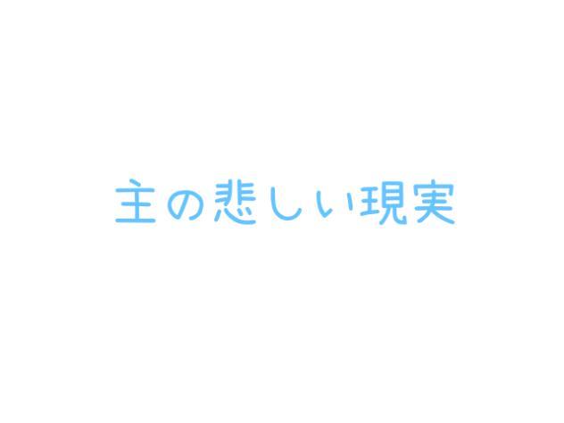 主の悲しい現実