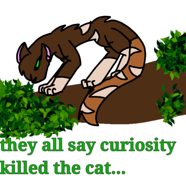 how I died as a maine coon