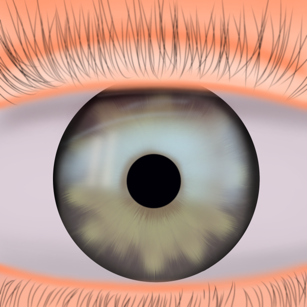 29 sin título - ibisPaint