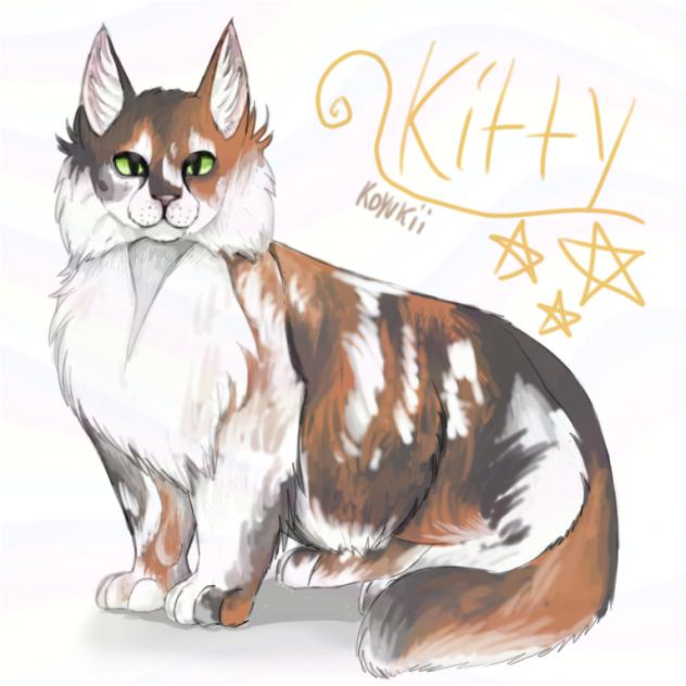 Norwegian forest cat attempt