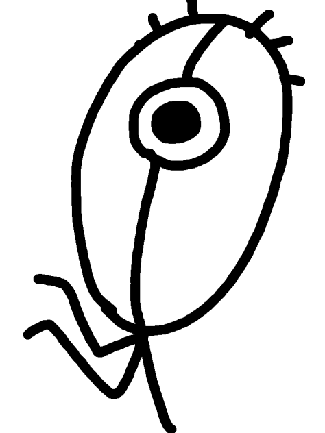 パーカーさん