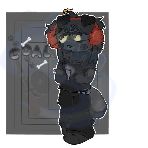 Coal sona commission