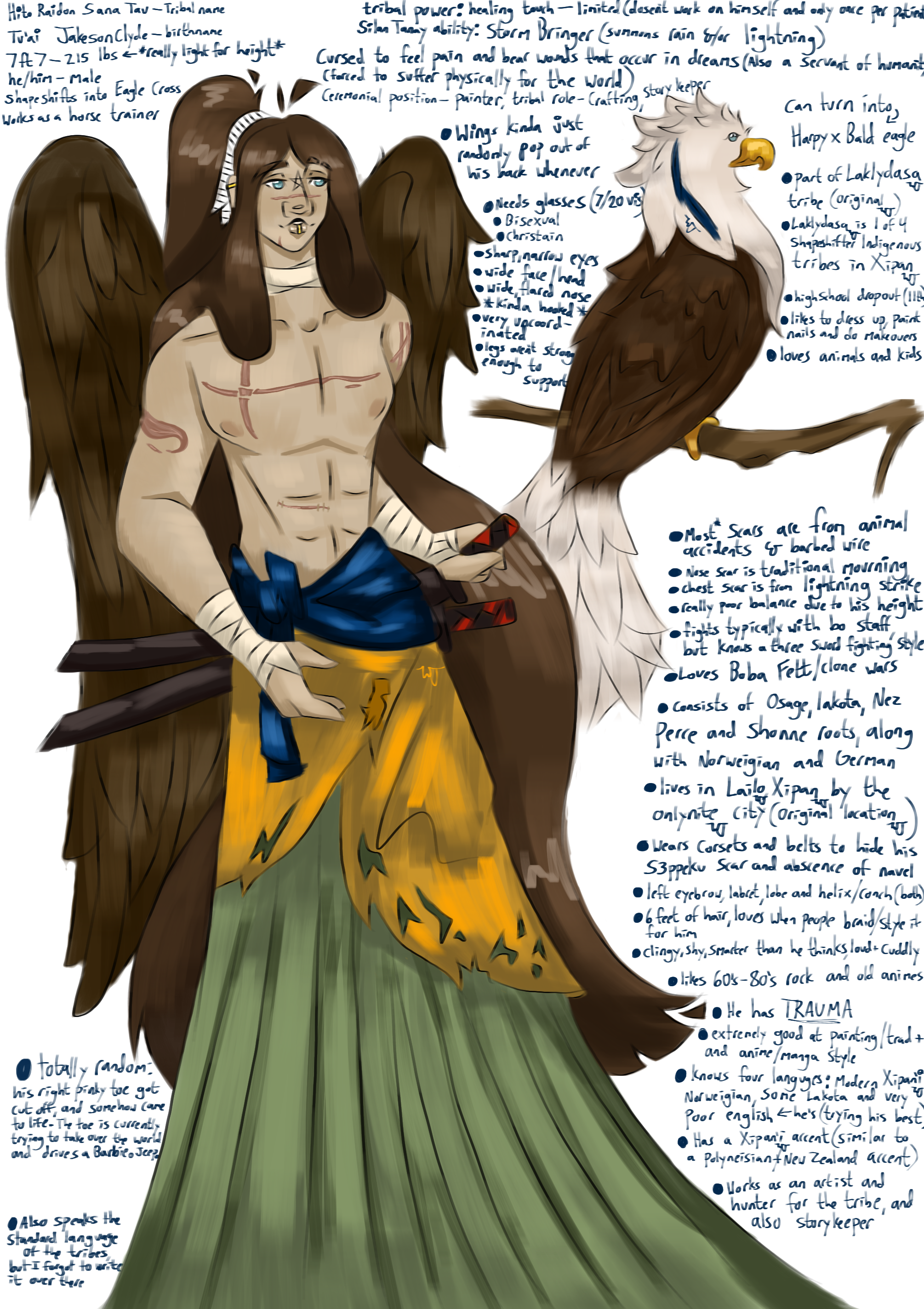 Raidon ref - ibisPaint
