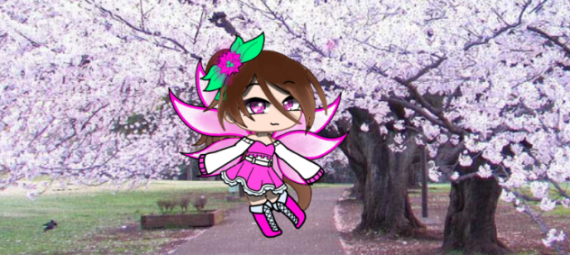 Blossom