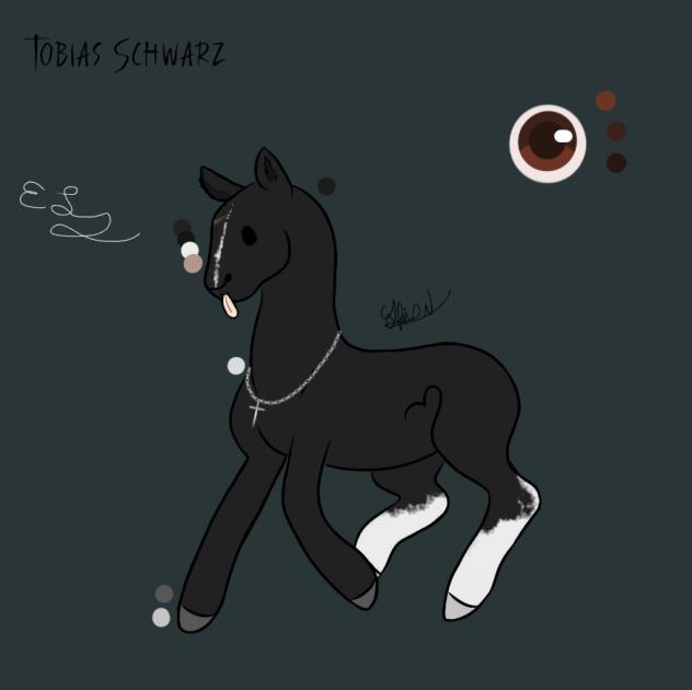 ~ Tobias Schwarz ~