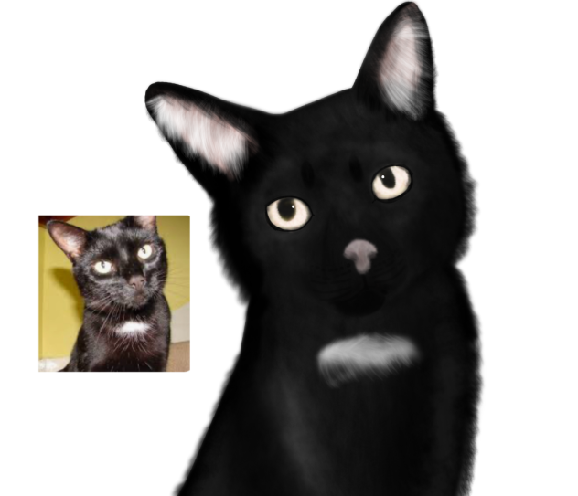 kitty - ibisPaint
