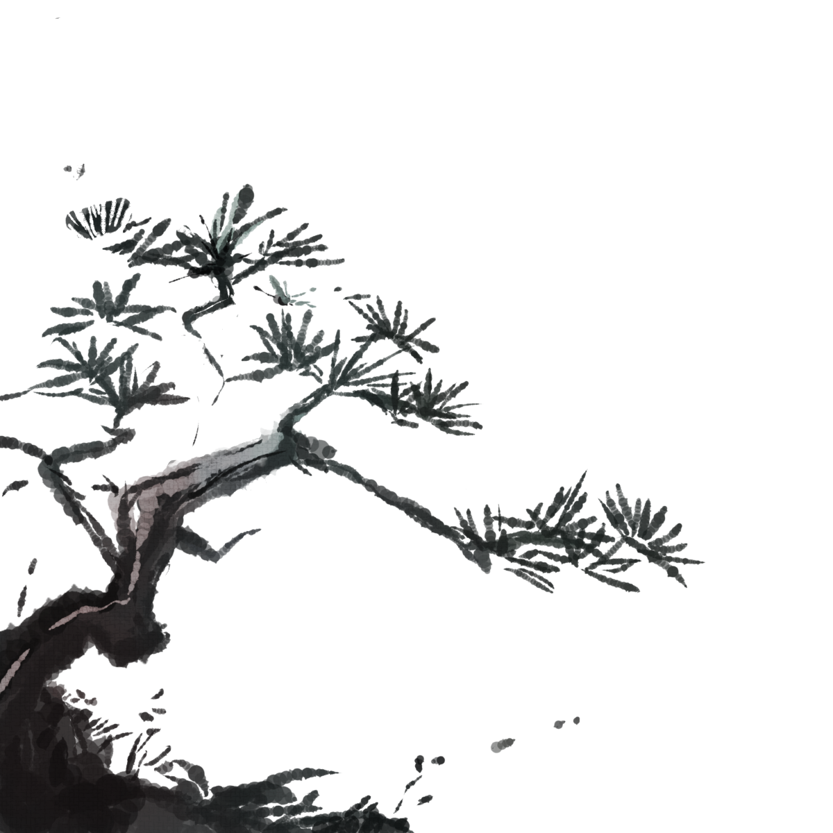image236000467.png