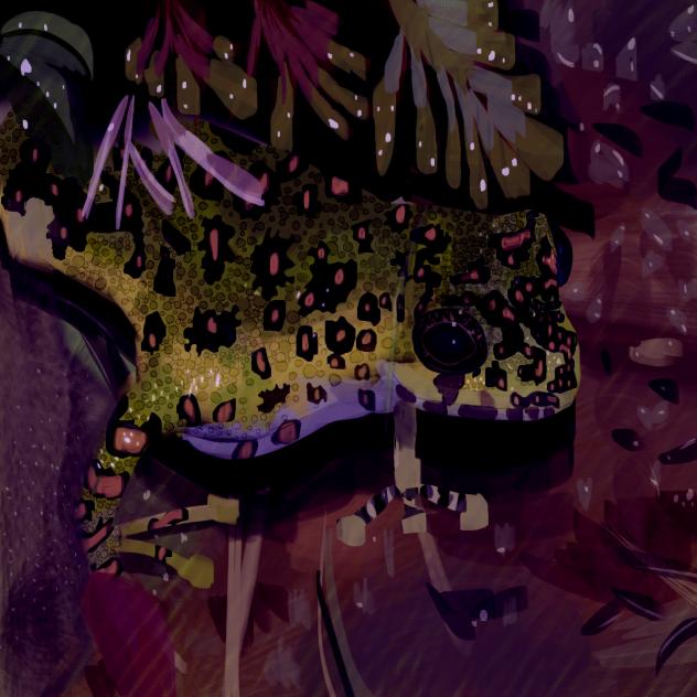 Frog with spots