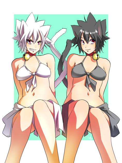 白猫美と猫美