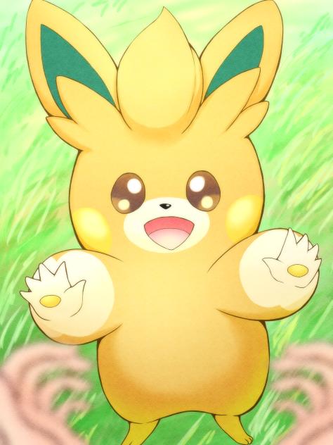 パモット