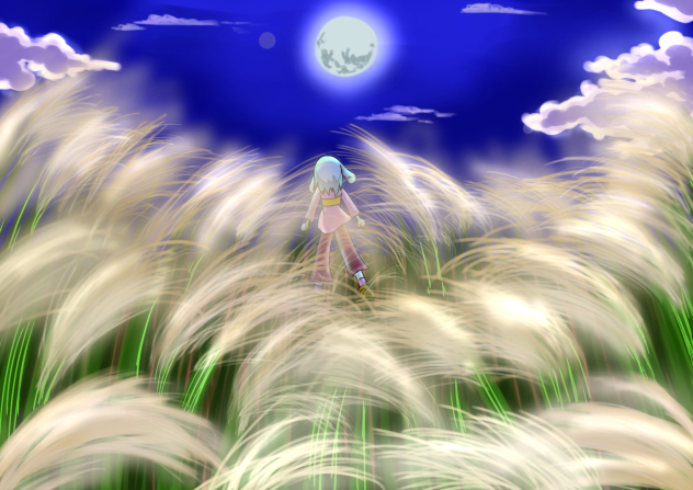 ススキと月夜