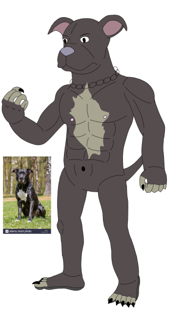 Furry realist Stanford