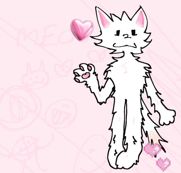 🩷MEOW🩷