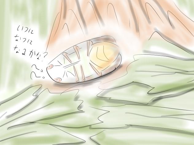 セミが鳴ってますか？