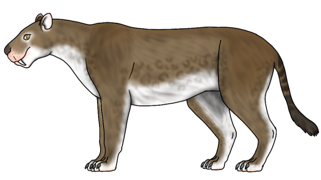 Amphimachairodus giganteus2