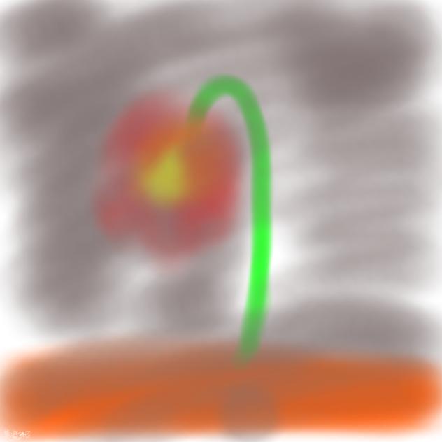 何処かの花