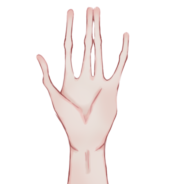 handndbd