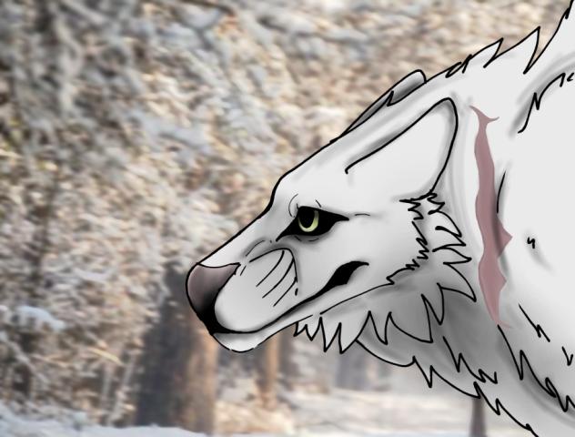 The Dire Wolf