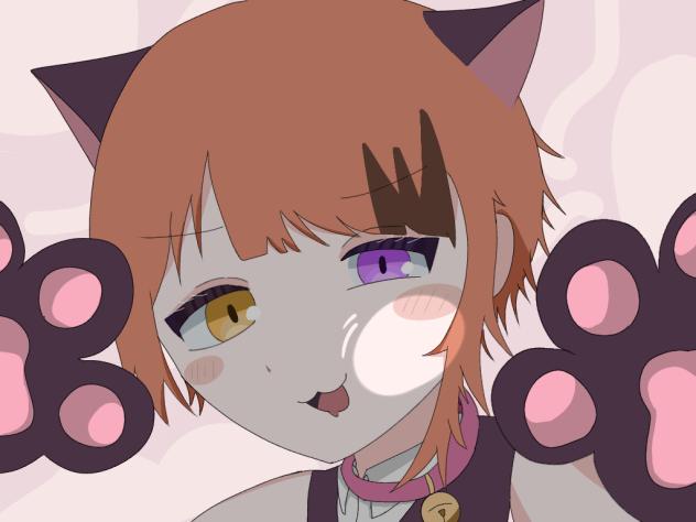 ﾈｺ