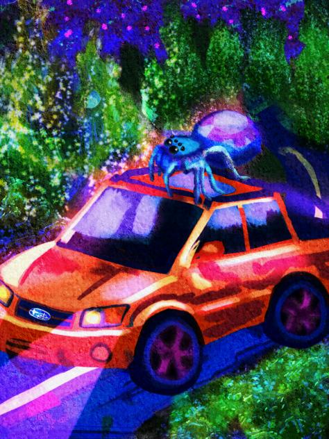 mx.spider dreams of owning a Subaru baja