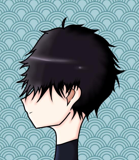 Ikki Niko side profile
