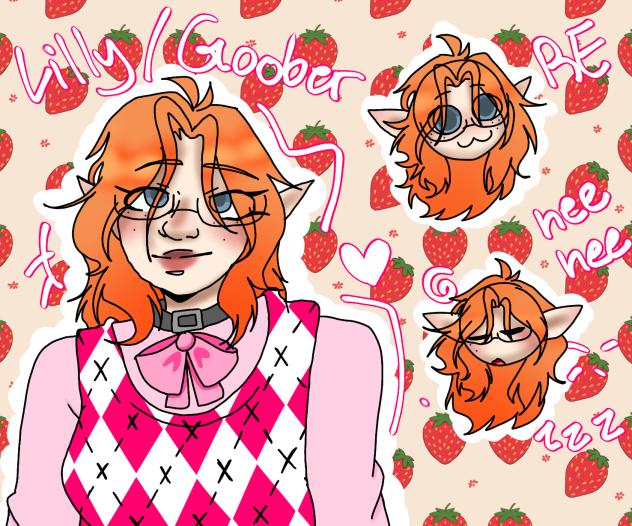 LILLY GOOBER REDESIGN