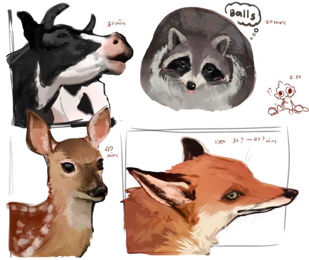 Snouts