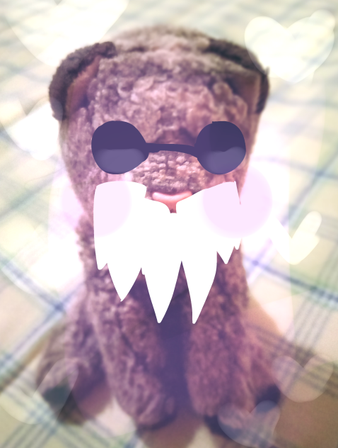 Panocho insano romantico 💖😺