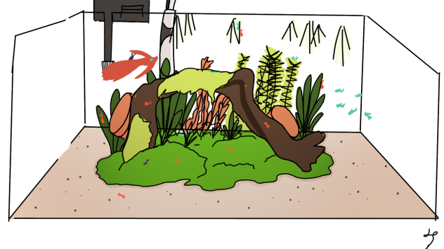 Aquarium idea
