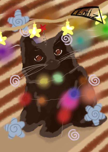 Cat!
