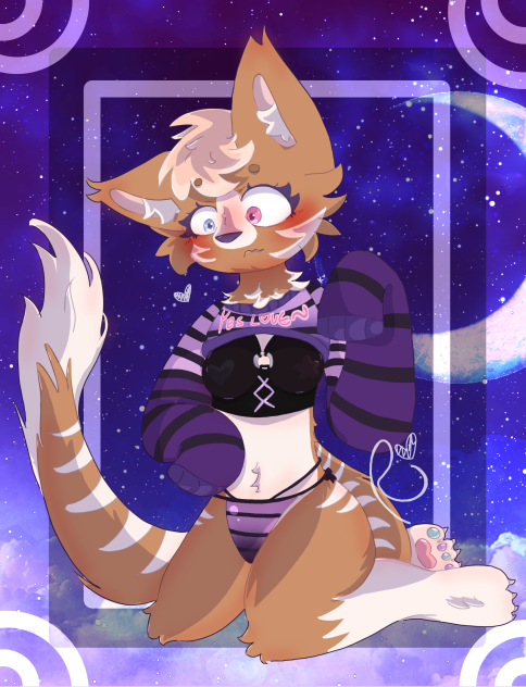 Kitty in a cute outfit 🙈😽