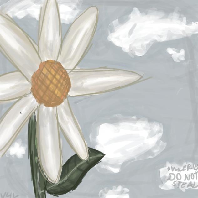 ~Flowers in the sky..