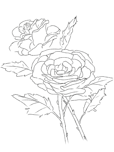 Flowers (outline)