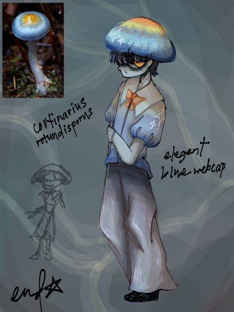 funguary; elegant blue webcap