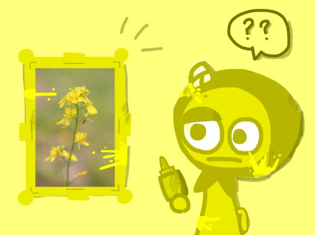これは､､､？