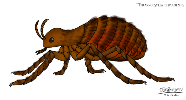 Tyrannopsylla beipiaoensis