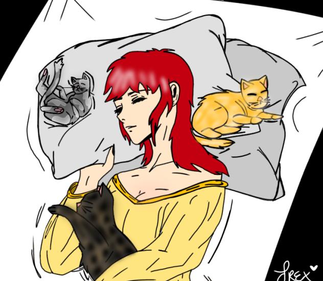 Cat Nap