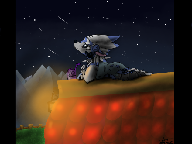 Star Gazing - ibisPaint