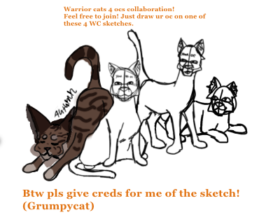 collab with @Grumpycat